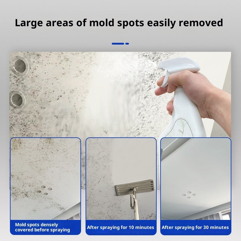 Anti-Mold Household Wall Cleaner