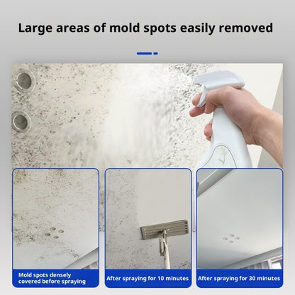 Anti-Mold Household Wall Cleaner